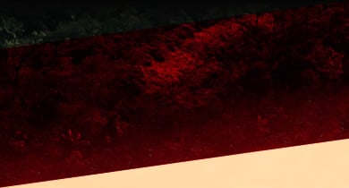 The Cradle of Light Rum