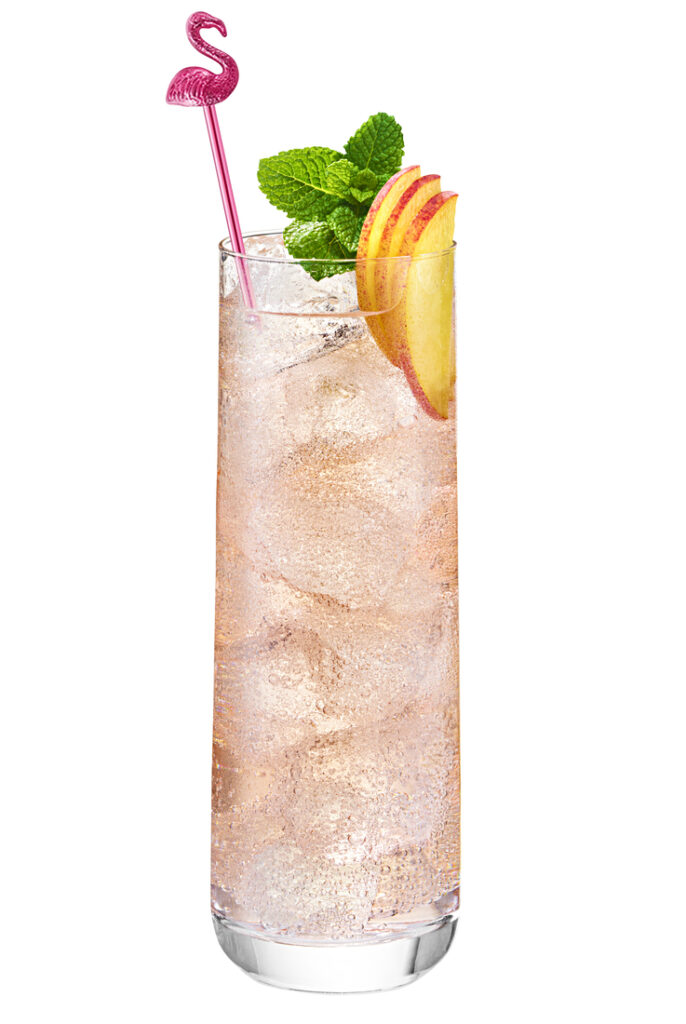 RASPBERRY RUM FIZZ